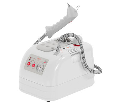 Gazella GLD/MN 2004 2 Litre Buharlı Temizleme Robotu - 4