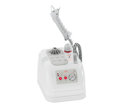 Gazella GLD/MN 2004 2 Litre Buharlı Temizleme Robotu - 3