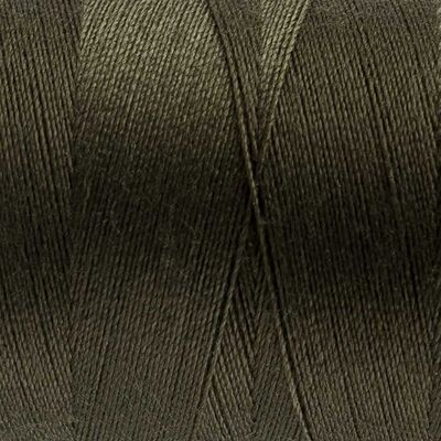 Wonderfil Polyester Dikiş İpliği - DS113 - Turtle Green - 2