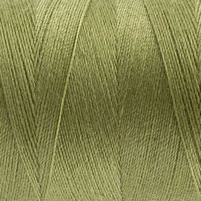 Wonderfil Polyester Dikiş İpliği - DS228 - Wild Willow - 2